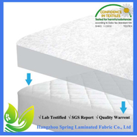 Queens Size Hypoallergenic Quilted Stretch-to-Fit Mattress Pad