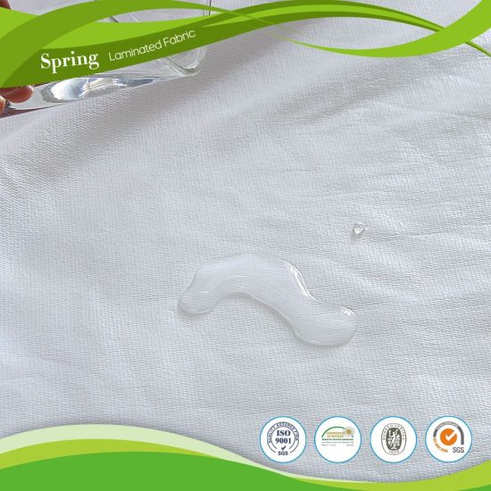 Anti Bed Bugs Protection Twin Full Queen King Mattress Cover