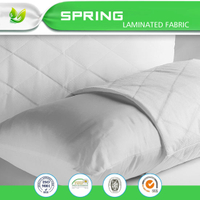 Water Proof Allergy Protection Zippered Pillow Protector/Pillow Covers/Manufacture in China