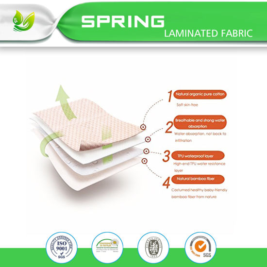 Waterproof and Bed Bug Proof Mattress Encasement - 60-Inch by 80-Inch, Queen