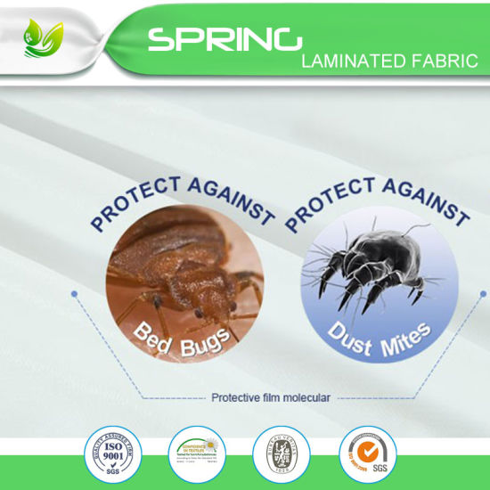 China Wholesale Hypoallergenic Anti-Dust Mite Waterproof Bed Bug Proof Mattress Protector Cover